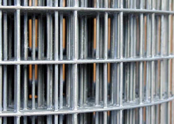 50X50 รอยลวดตาข่ายสังกะสีม้วน 6 ฟุตลวดรั้วม้วนหลักฐานการขัดถู