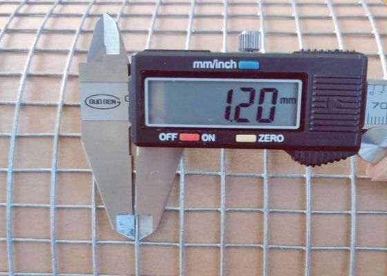 อิเล็กทรอนิกซ์ แกลนไซด์ welded สาย Mesh Roll ความยาว 50M สําหรับสัตว์ที่ปิด